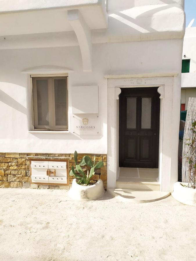 Narcissus Luxury Suites Naxos City Exteriér fotografie