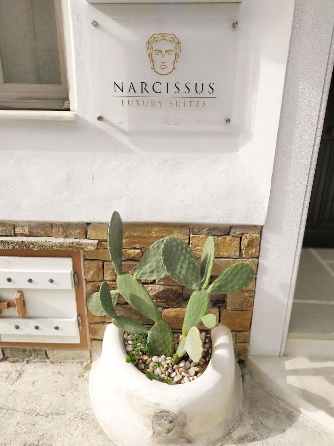 Narcissus Luxury Suites Naxos City Exteriér fotografie