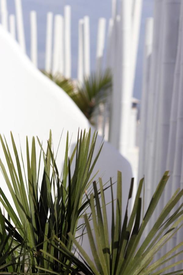 Narcissus Luxury Suites Naxos City Exteriér fotografie